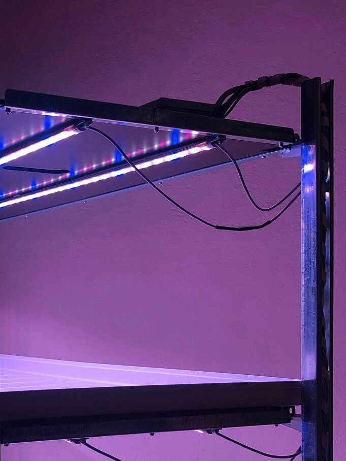 Die 9 Besten LED-Landschaftsbeleuchtungssets Zur Beleuchtung Ihres Außenbereichs